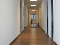 b033a899bd21047e038.jpg